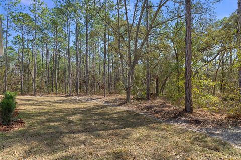 Tiny photo for 3618 W Birds Nest Drive, Beverly Hills, FL 34465 (MLS # W7879644)