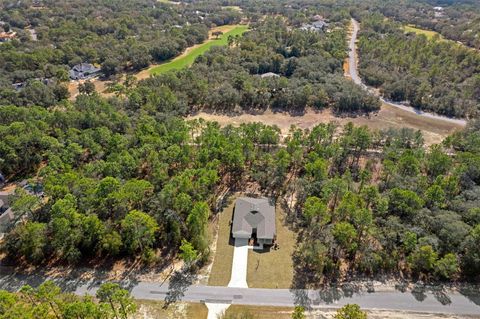 Tiny photo for 3618 W Birds Nest Drive, Beverly Hills, FL 34465 (MLS # W7879644)