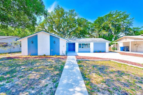 Single Family Residence in BRANDON FL 503 COTTAGE LANE.jpg