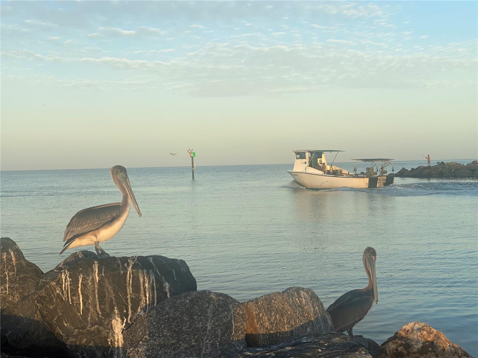 BIRD BAY II - Residential Lease