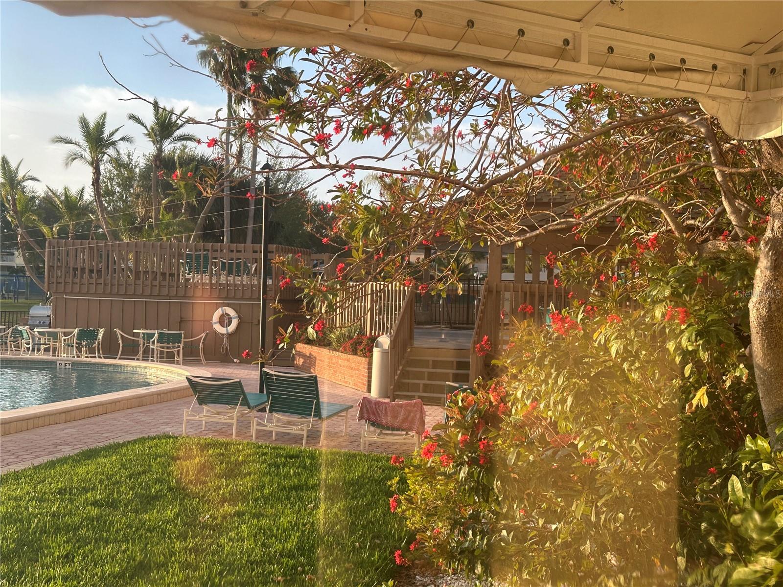 PARADISE ISLAND TOWERS CONDO - Residential