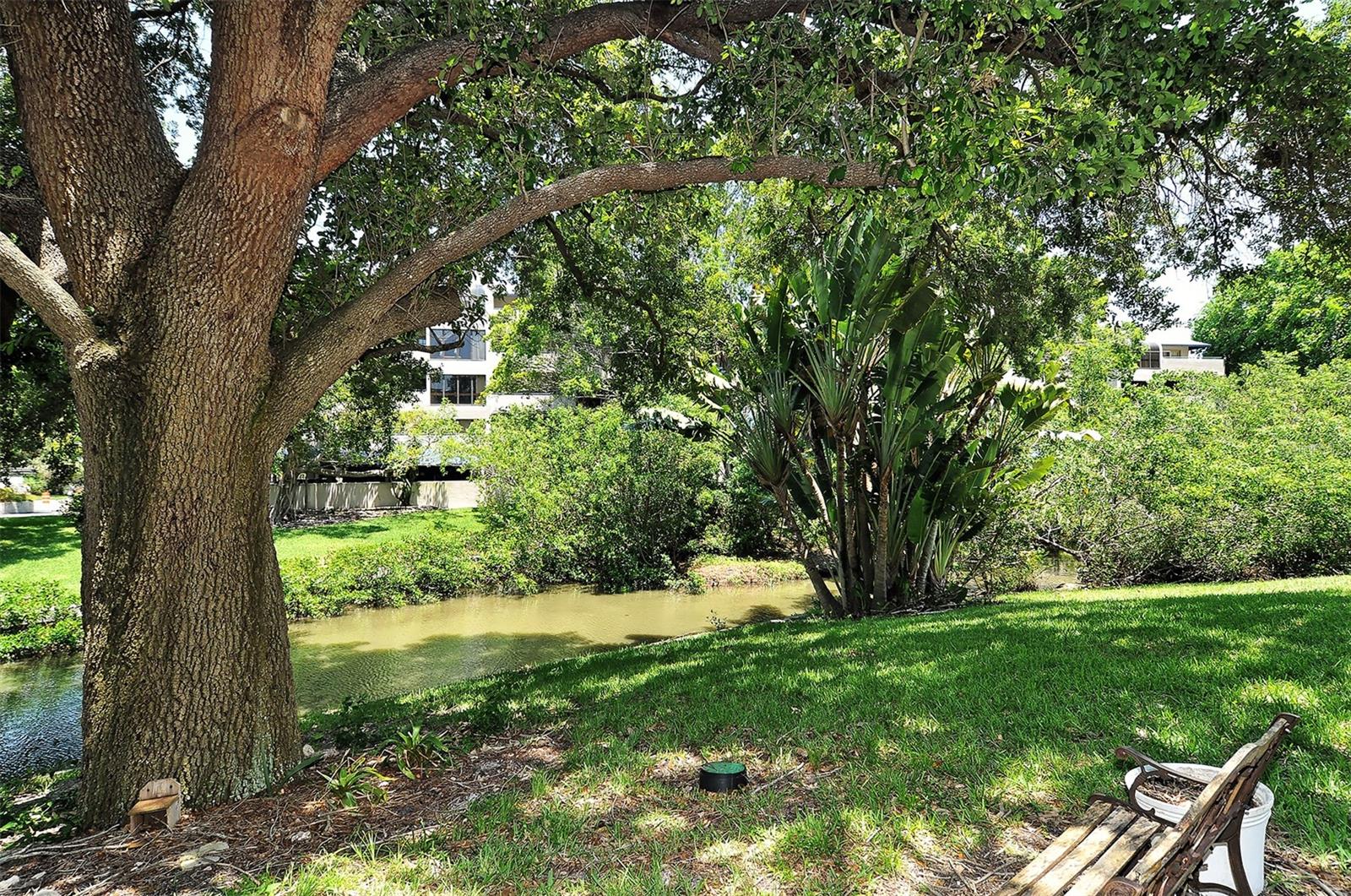 CENTRAL PARK - Residential