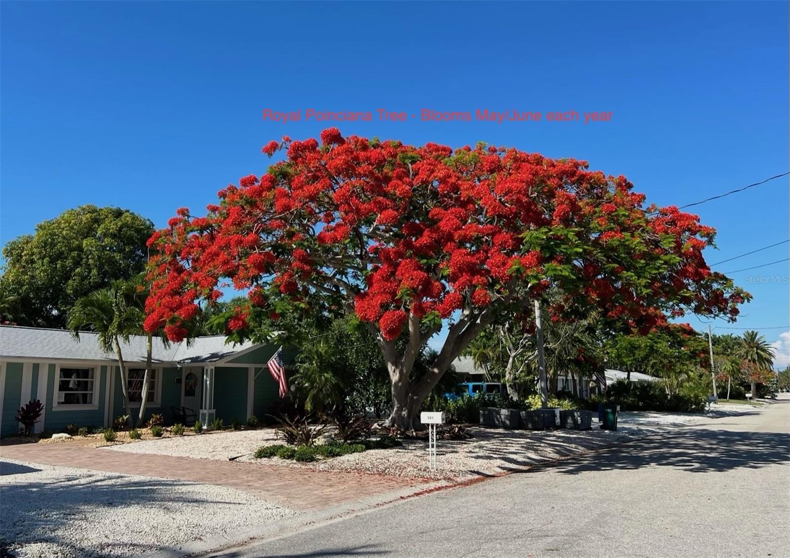 BAY PALMS ADD - Residential