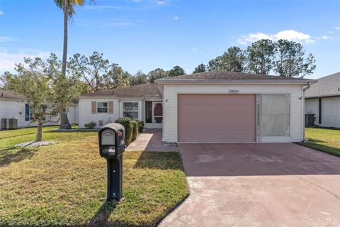 Photo of 29314 Princeville Drive, San Antonio, FL 33576 (MLS # W7882355)