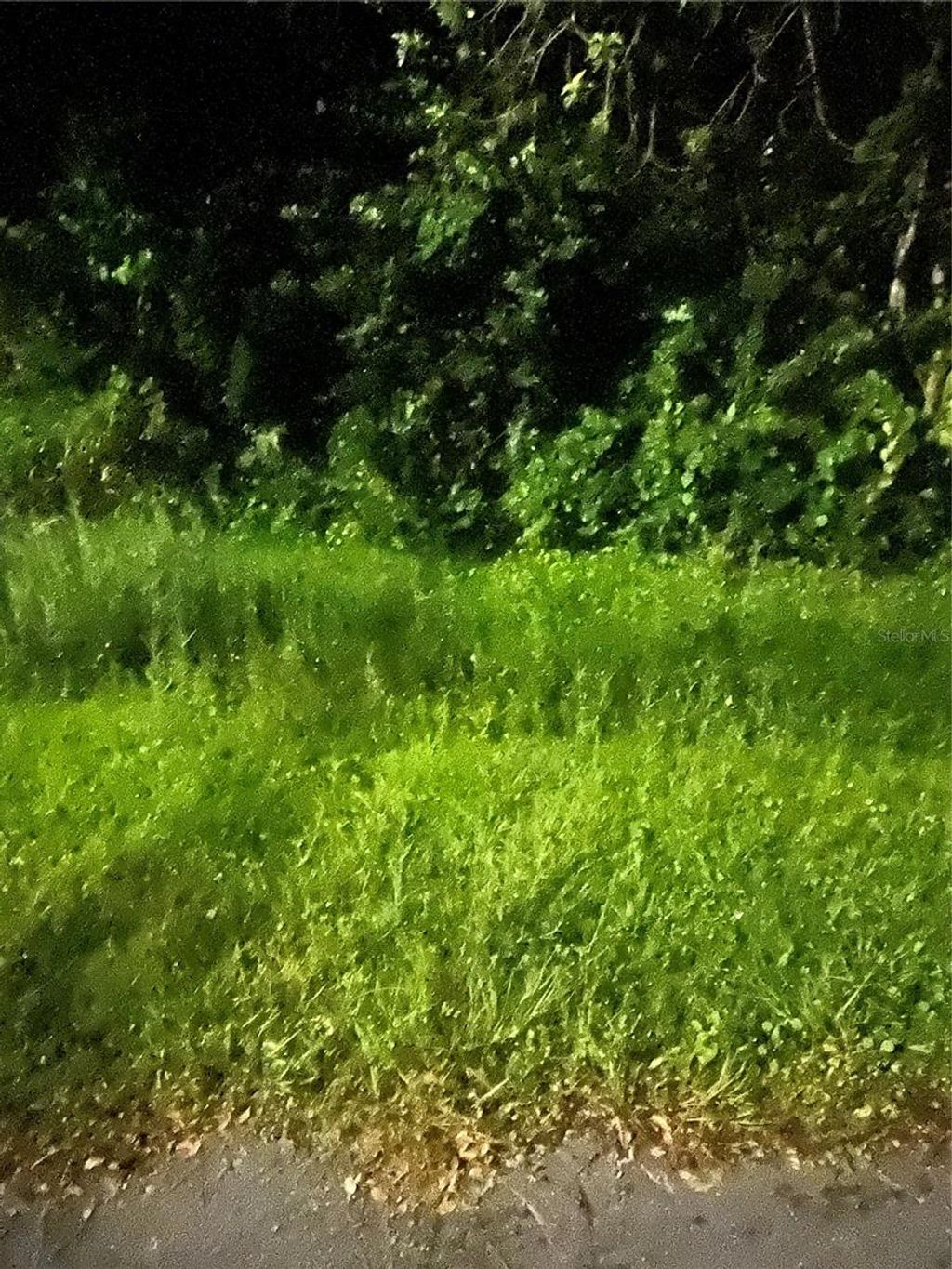 Photo of 814 Massy Court, Kissimmee, FL 34759 (MLS # FC316441)