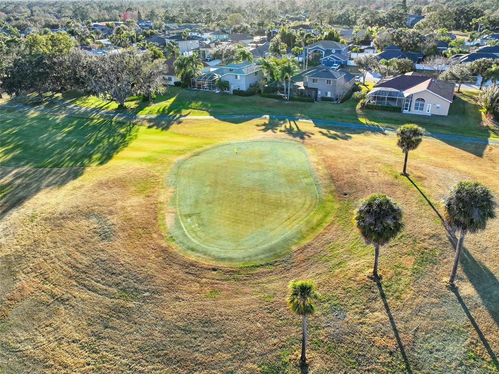 ST ANDREWS AT THE EAGLES UN 2 - Residential