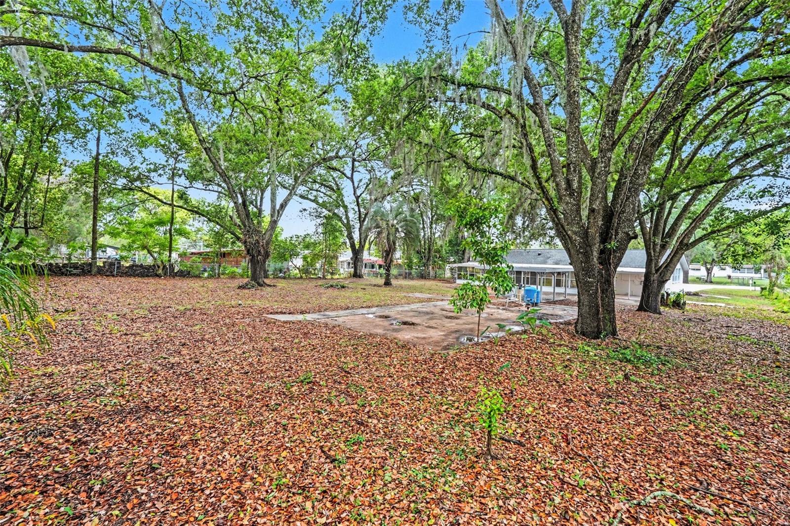 FORT KING ACRES - Residential