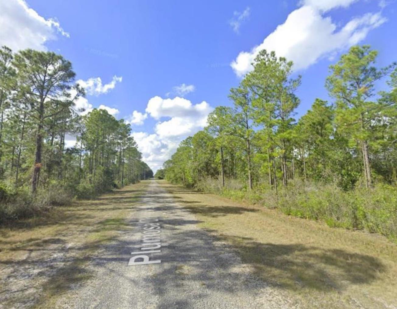 INDIAN LAKE ESTATES - Land