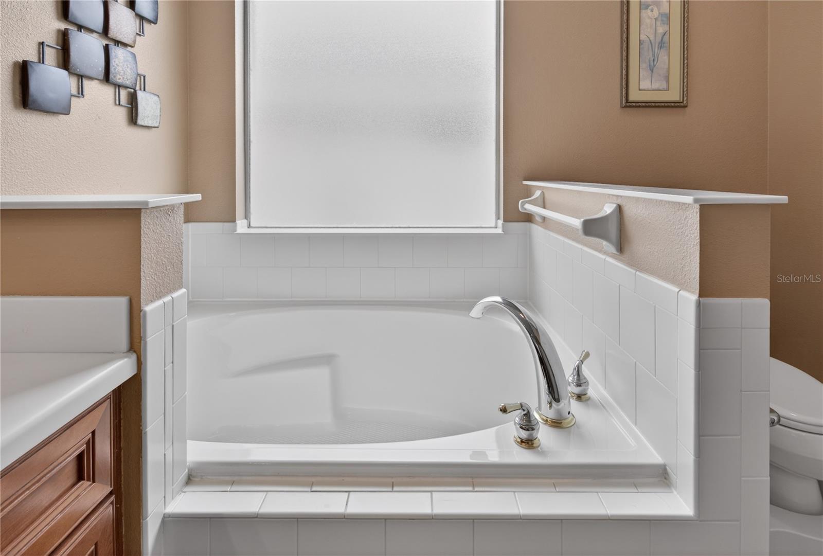 LAKES OF MOUNT DORA - Residential