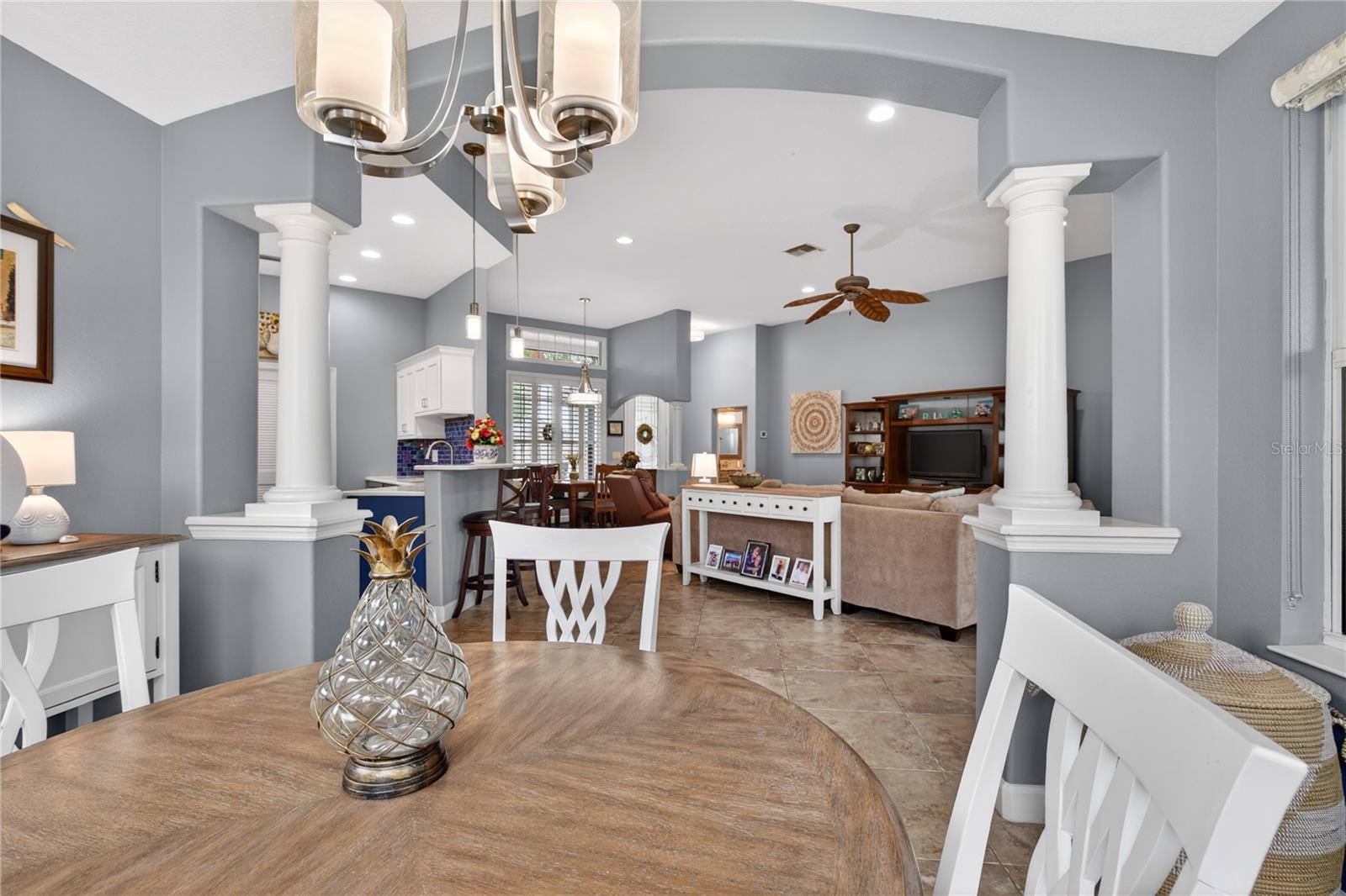 LAKES OF MOUNT DORA - Residential