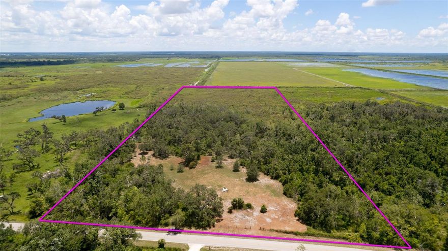 Escape to the your very own little Myakka State Park! The natural beauty of this vacant lot offers abundant possibilities for a weekend country retreat new construction or even the beginning of an agricultural venture.  This 27.95-acre parcel of undeveloped land in Myakka City features a cleared, high and dry area and two diverse types of protected wetland habitats.  This serene setting gives the property a real “Old Florida” feel!
Discover the epitome of the Florida ranch lifestyle, where you can enjoy privacy within the breathtaking natural surroundings.  This pristine property offers a unique opportunity to create your private sanctuary in a quiet and secluded setting.
One of the highlights of this property is the presence of protected wetlands. These wetlands provide a unique ecosystem that supports a diverse array of flora and fauna. 
The northeast section of this parcel is high and dry & has been recently cleared with a bush hog and features beautiful, large moss-draped oak trees.  Toward the South, lies a Freshwater Forested/Shrub Wetland habitat, which the National Wetlands Inventory describes as an area that is characterized by woody vegetation, trees, and shrubs that are 20 feet tall or taller.
The southern-most portion of the parcel features wetlands that are classified as a Freshwater Emergent Wetlands, which are characterized by rooted, herbaceous hydrophytes and dominated by trees and shrubs. This vibrant ecosystem flourishes with perennial plants, offering a scenic and ever-changing landscape. Embraced by diverse wetland habitats, this property provides a sanctuary for a wide array of wildlife. Observe the wonders of nature as you encounter numerous bird species and thriving ecosystems.