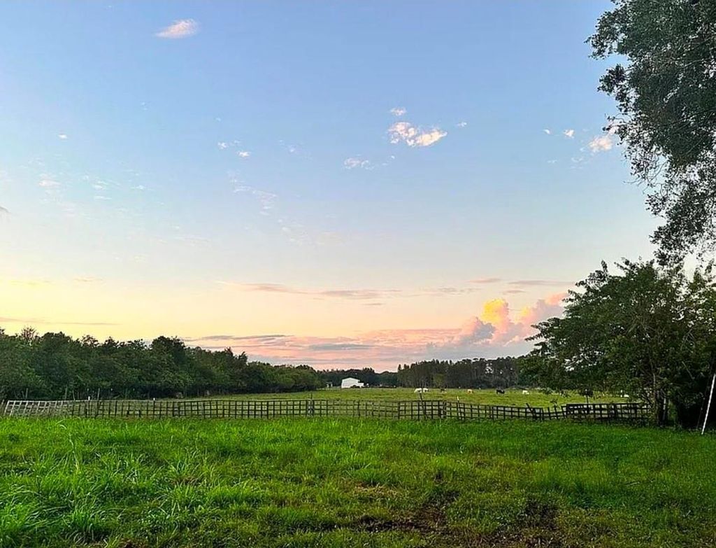 Photo of 11710 Meadowdale Drive, Tampa, FL 33625 (MLS # TB8509413)
