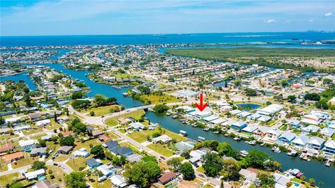 A home in APOLLO BEACH