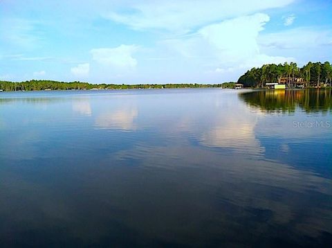 Photo of 18620 Wayne Road, Odessa, FL 33556 (MLS # O6369412)