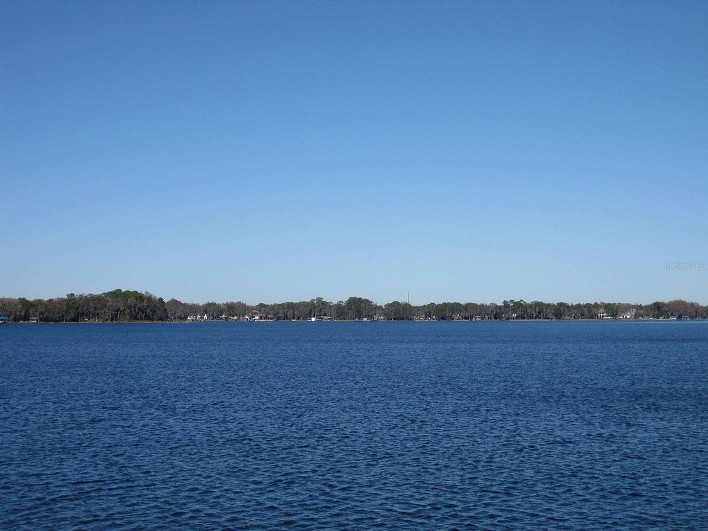 Photo of 18620 Wayne Road, Odessa, FL 33556 (MLS # O6369412)