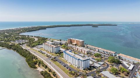 7 ELGIN PLACE 202 DUNEDIN FL 34698