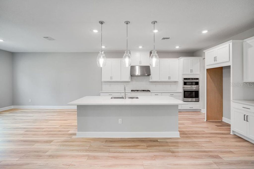 Photo of 1699 Trailhead Lane, Zephyrhills, FL 33541 (MLS # TB8430598)