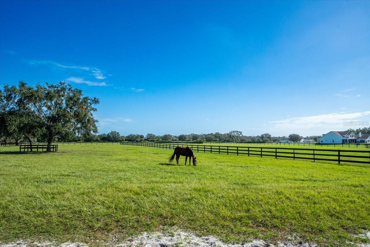 CITRUS GREEN - Residential