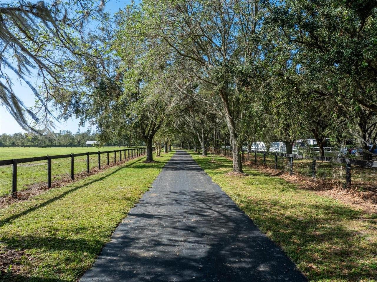 CITRUS GREEN - Residential