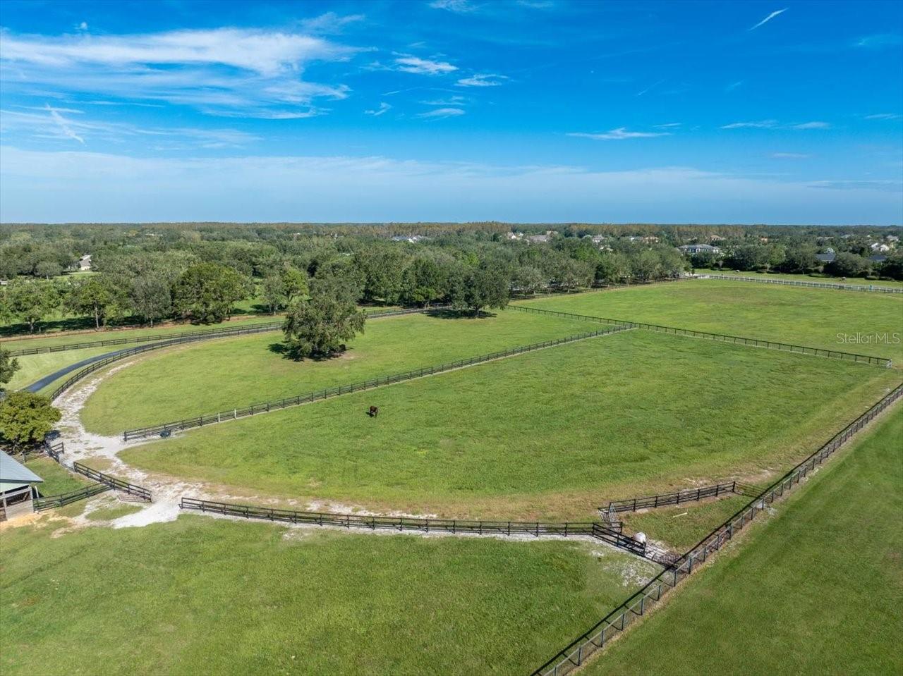 CITRUS GREEN - Residential