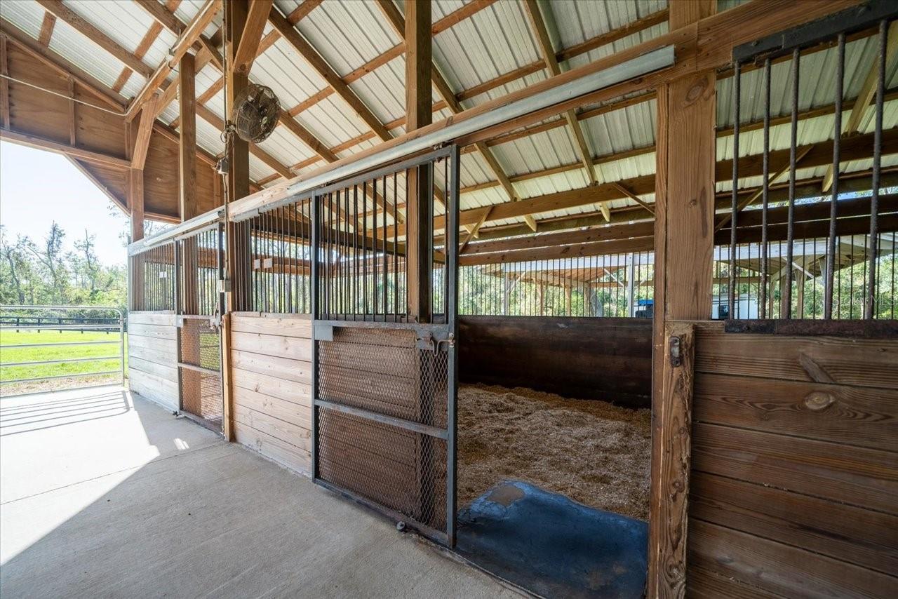 CITRUS GREEN - Residential