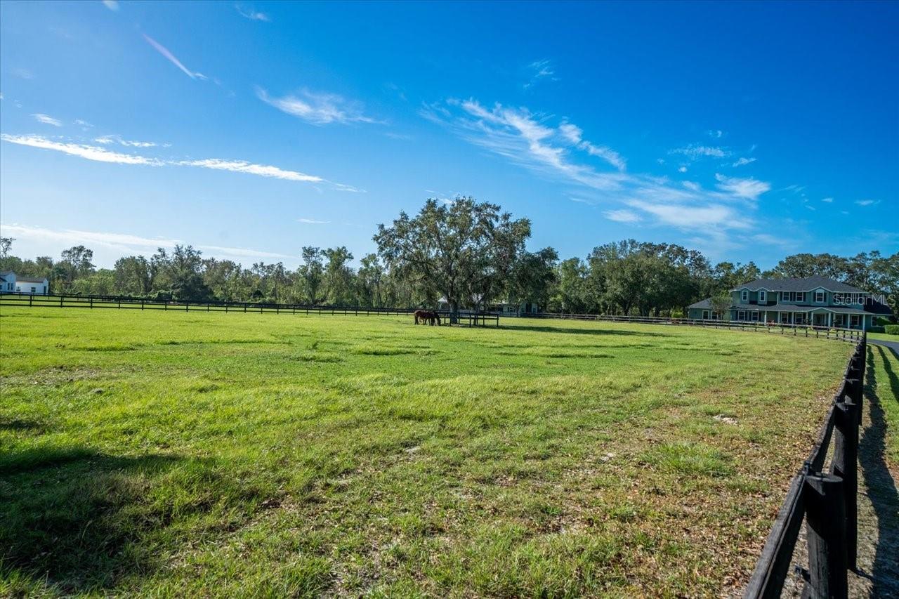 CITRUS GREEN - Residential