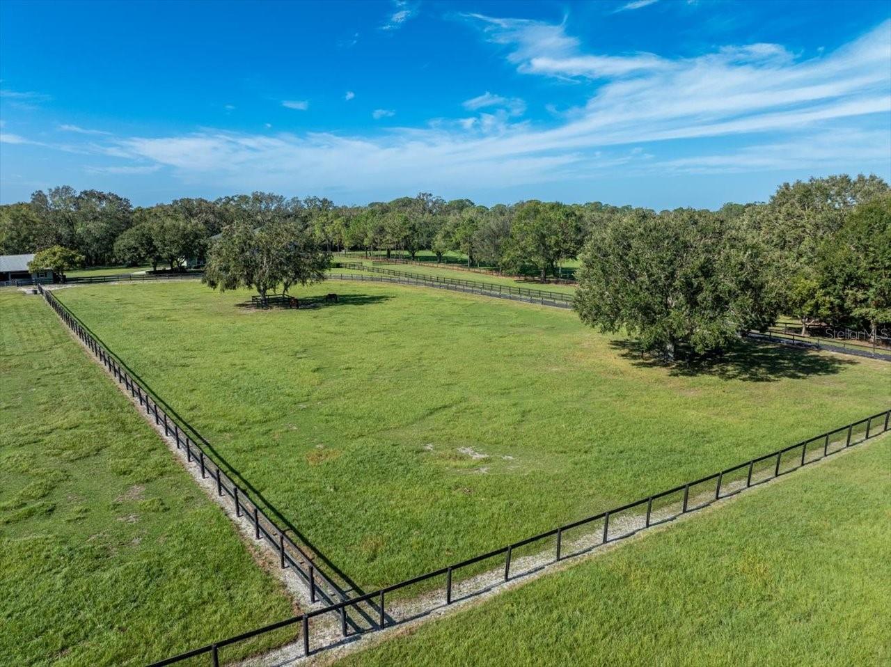 CITRUS GREEN - Residential