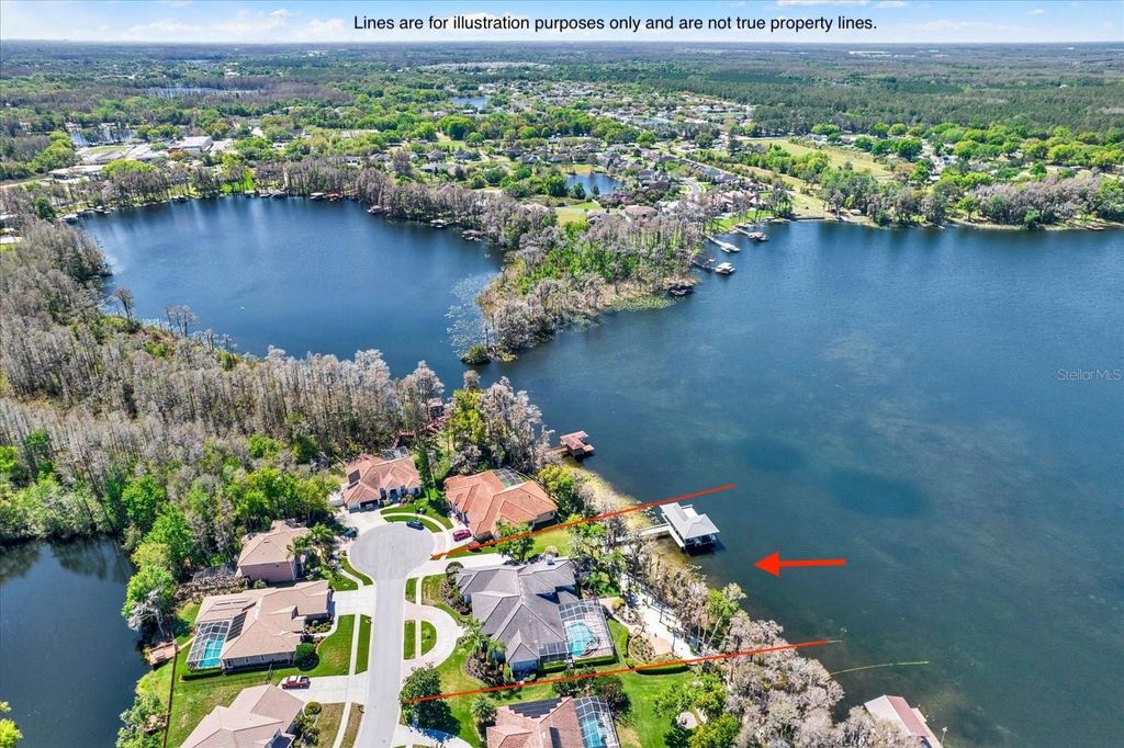 Photo of 5643 White Ibis Lane, Land O Lakes, FL 34638 (MLS # TB8488855)