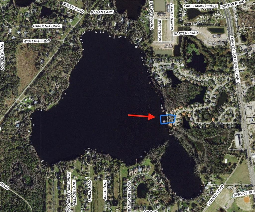 Photo of 5643 White Ibis Lane, Land O Lakes, FL 34638 (MLS # TB8488855)