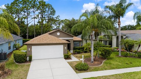 Photo of 1335 Hickory Moss Place, Trinity, FL 34655 (MLS # W7886475)
