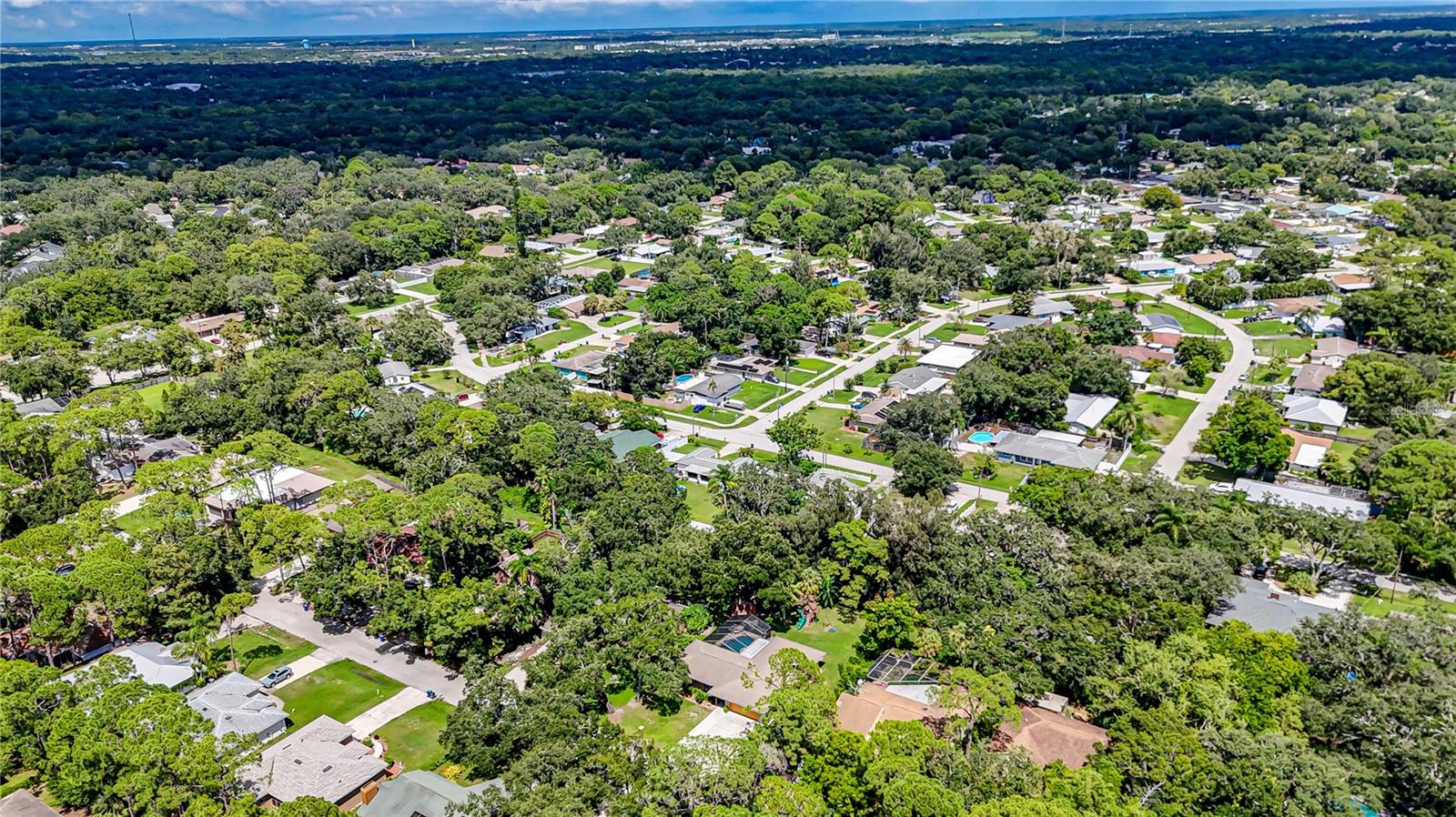 SARASOTA SPGS - Residential Lease