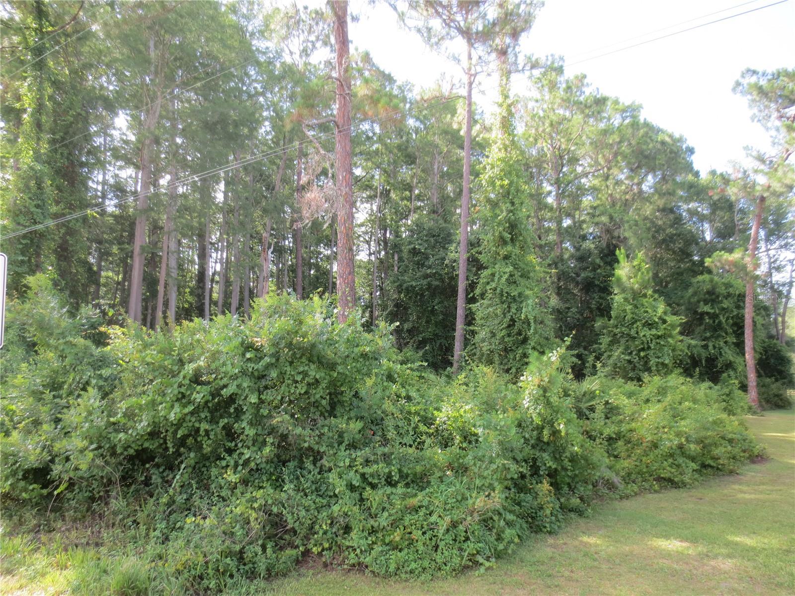 14655 NE 14TH STREET ROAD