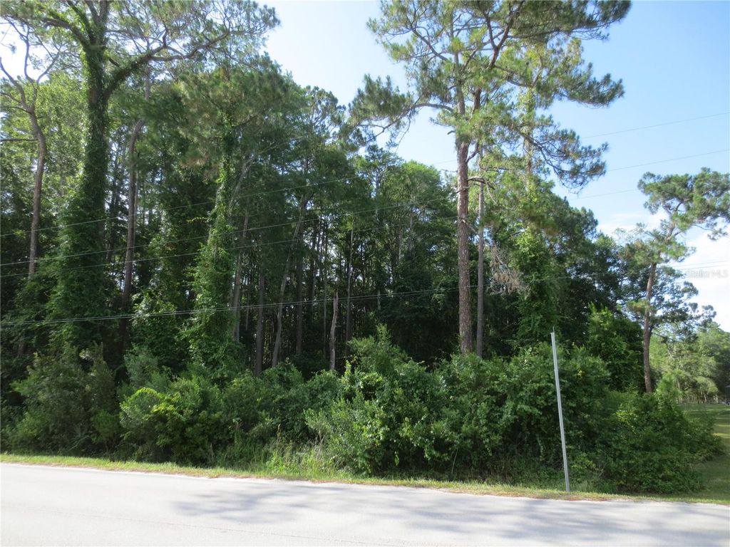 Photo of 14655 NE 14th Street Road, Silver Springs, FL 34488 (MLS # OM722381)