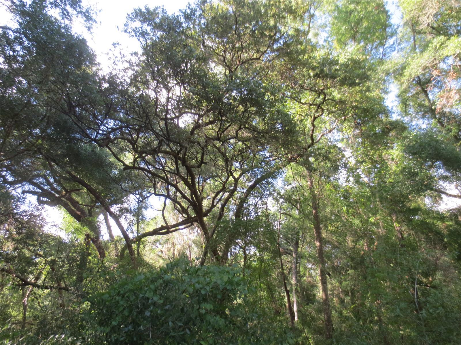 14655 NE 14TH STREET ROAD