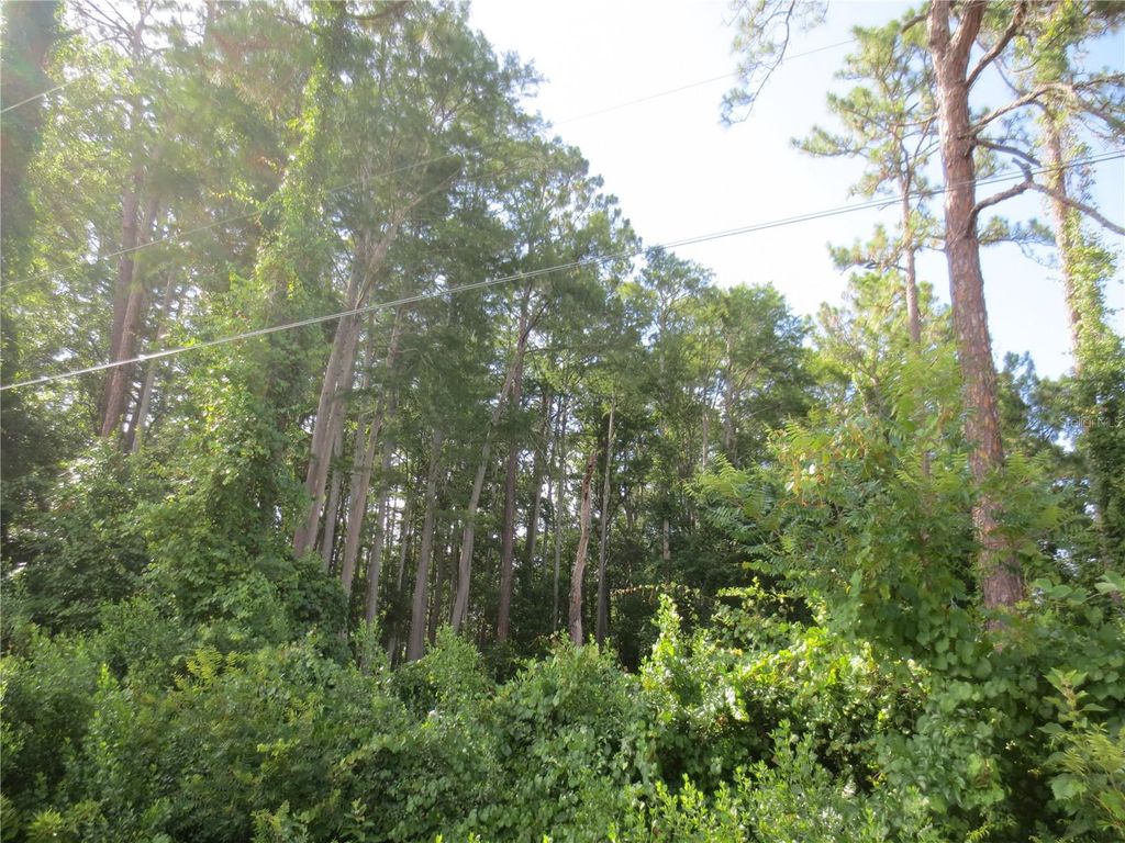 Photo of 14655 NE 14th Street Road, Silver Springs, FL 34488 (MLS # OM722381)