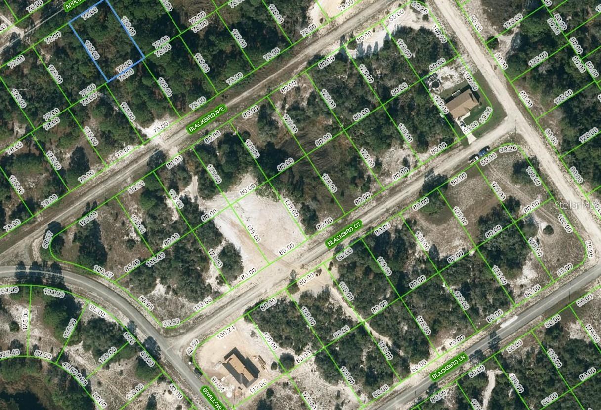 This lot in Lake Placid is in a fantastic area, just a short 10-minute drive away from Lake Grassy and approximately within a 20-minute drive to Lake Placid. This proximity to both lakes makes it an ideal location for those who enjoy recreational activities like fishing and boating. You'll have easy access to the lake, allowing you to spend quality time on the water and indulge in your favorite water-based hobbies. For car enthusiasts, the lot's proximity to the Sebring International Raceway is a dream come true. You'll be able to enjoy thrilling races and events just a short distance away from your property. Whether you're a motorsport fan or a participant, living so close to a renowned racetrack adds an exciting element to your lifestyle. Additionally, the lot offers the convenience of having shopping and dining options nearby. You'll have access to a range of stores, boutiques, and restaurants, ensuring that your everyday needs are met without having to travel long distances. Overall, this lot in Lake Placid provides a unique combination of recreational opportunities, a favorable growing environment, and proximity to exciting attractions like the Sebring International Raceway. It's an excellent location for anyone looking to enjoy the outdoors, engage in hobbies, and have easy access to amenities. Don't let this deal race on by! Invest or purchase to build your dream home today!