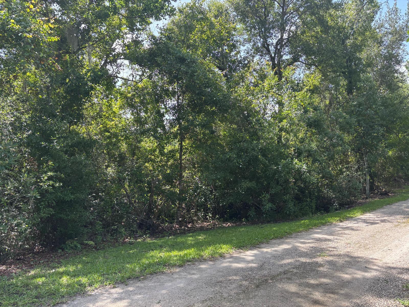 847 GREENBRIAR DRIVE