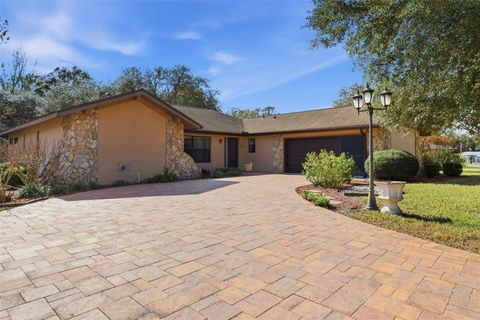 Photo of 37 Birchtree Street, Homosassa, FL 34446 (MLS # OM716482)