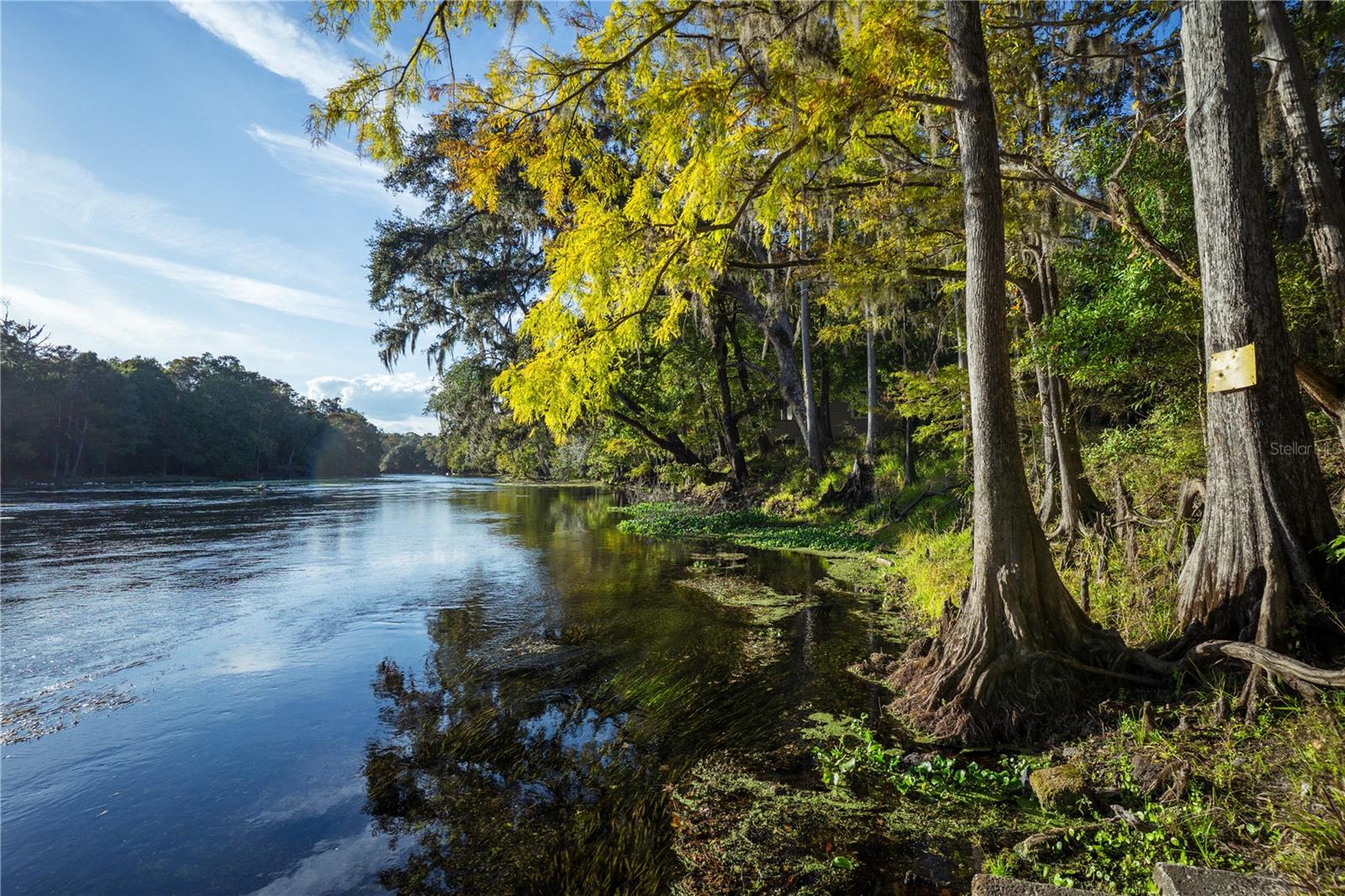 BLUEBIRD LANDING - Land