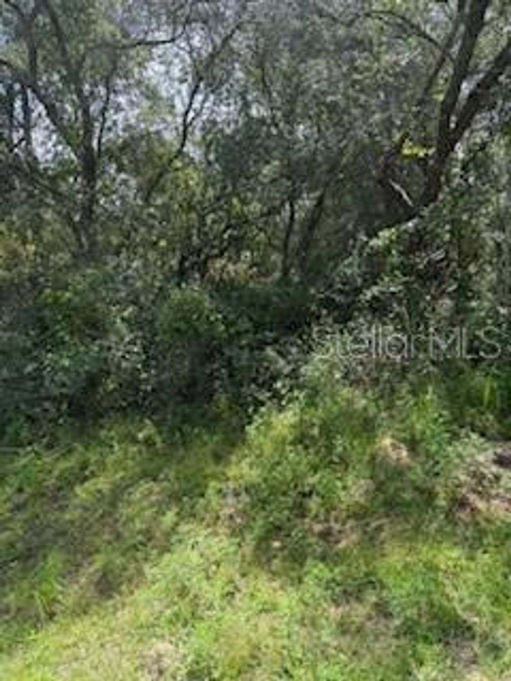 Photo of 16593 SW 31st Circles, Ocala, FL 34473 (MLS # G5103468)