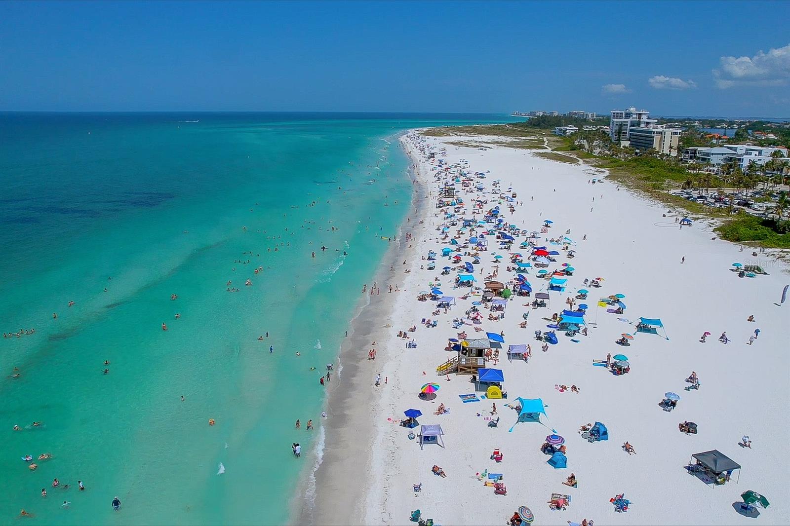 TREE HOUSE - Residential Lease