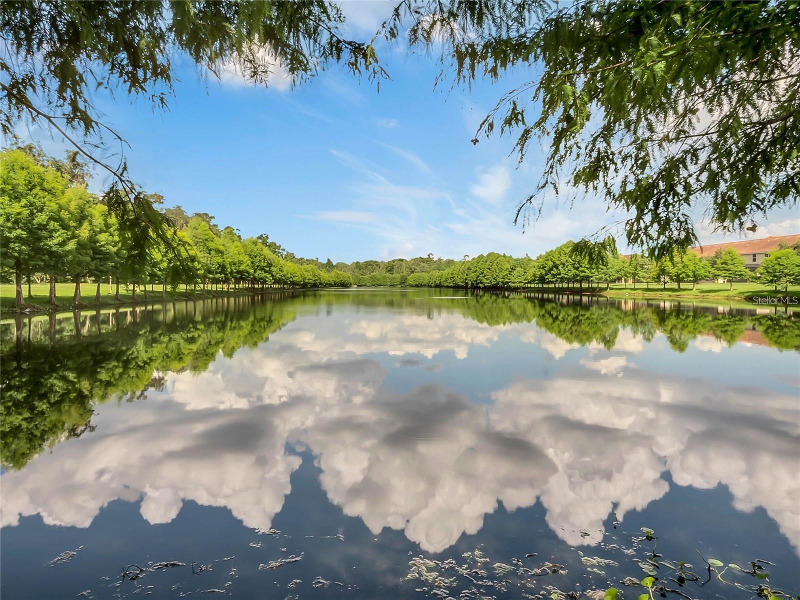 TERRACINA AT LAKE FOREST - Residential