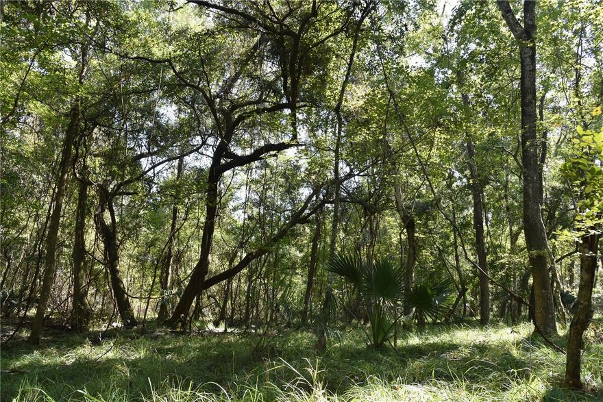 This tract of land has road frontage, but is narrow and runs deep for more privacy off the road. It’s a wonderful tract of land in the country with a blank slate and an abundance of wildlife. It’s located in Hawthorne and not far at all from the Gainesville area. This property isn’t far from Hwy 301, which would be quick access to Ocala, Starke and even Jacksonville. This area has a wide variety of top class bass and crappie lakes with public boat ramps on all them for access. This tract of land would set up great for someone loving wildlife and being in the country. The front near the road is filled with mature pines and the further you get in the back the more it opens up. Please give me a call with any questions you may have or to schedule a showing.
