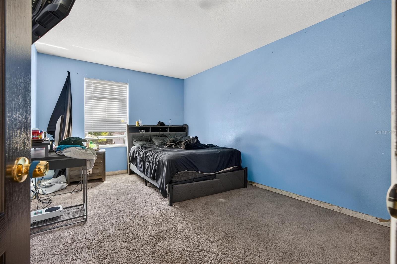 MASCOTTE GARDENS AT LAKE JACKSON RIDGE - Residential