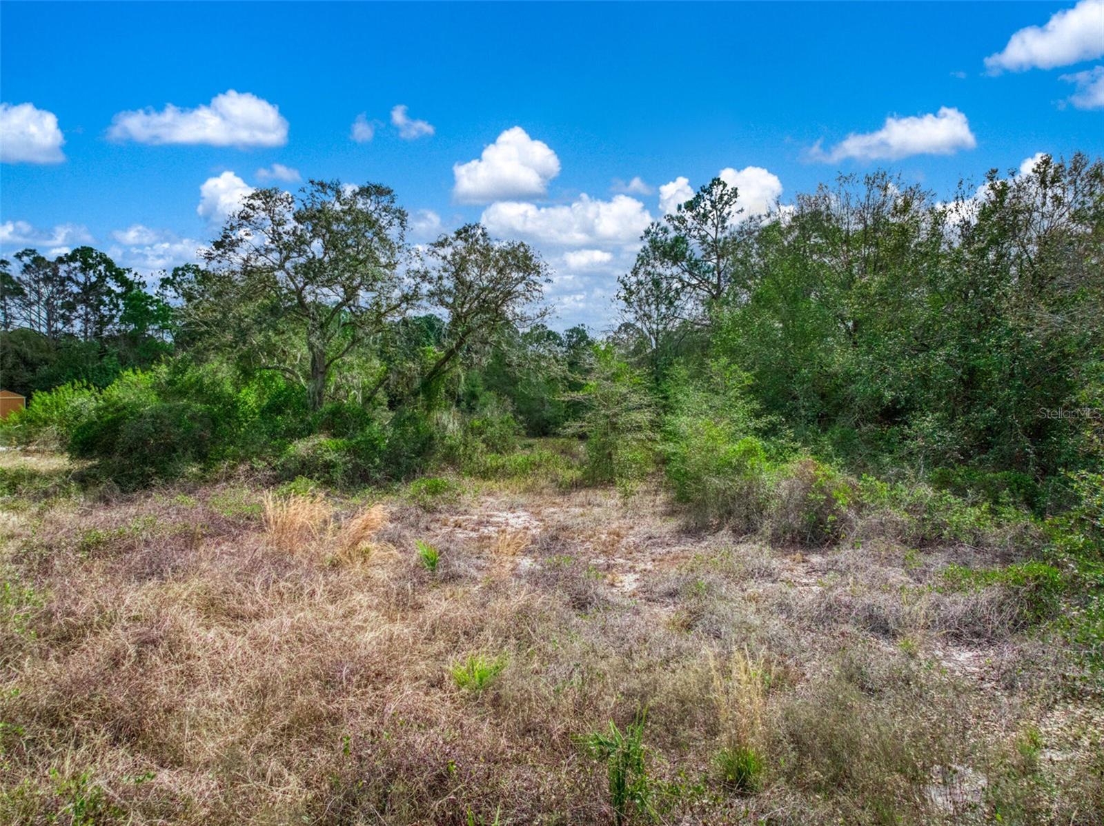 PLACID LAKES SEC 10 - Land