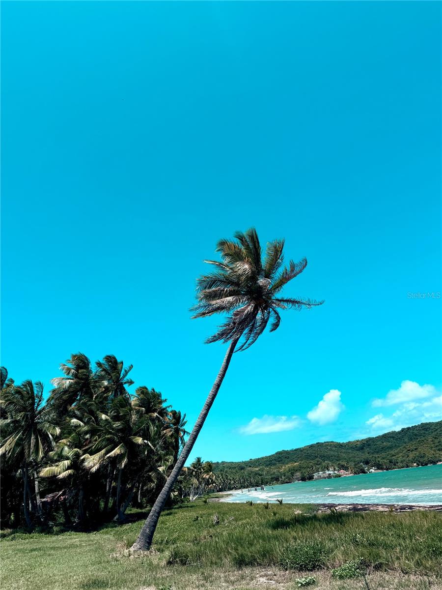 SECTOR PLAYA GUAYANÉS - Residential