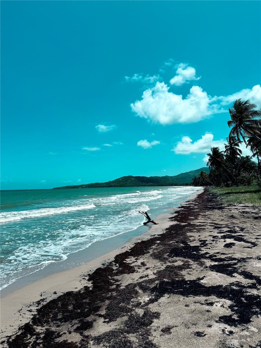 SECTOR PLAYA GUAYANÉS - Residential