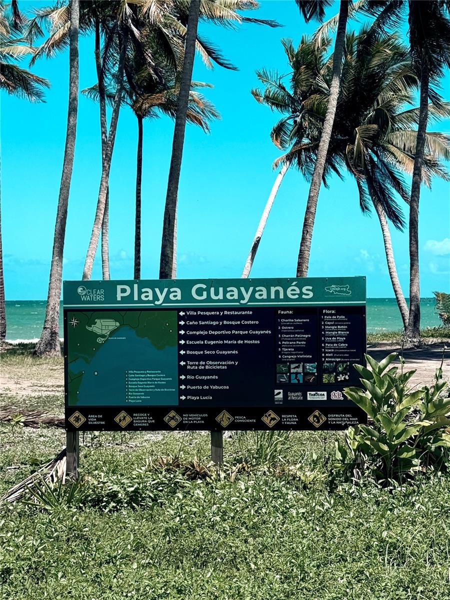 SECTOR PLAYA GUAYANÉS - Residential