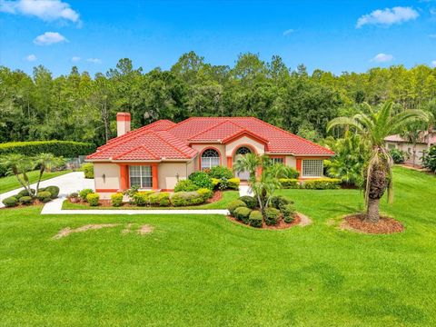 Photo of 18621 Avenue Capri, Lutz, FL 33558 (MLS # TB8532036)