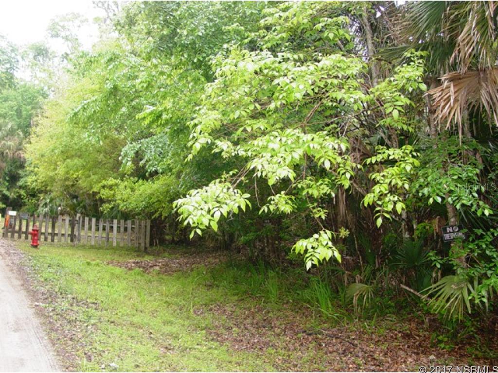 Model Land Co In Betts Grant - Land